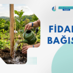 Fidan Bağışı