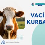 Yurt İçi Vacip Kurban