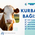 Yurt İçi Nafile Kurban