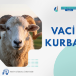 Yurt İçi Vacip Kurban