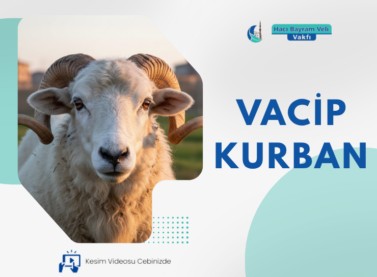 vacip-kurban-1-1.png Yurt İçi Vacip Kurban - Görsel 1